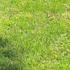 Meet your Posher, Astrid